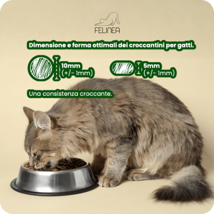 Felinea Adult Pute und Huhn getreidefrei für ausgewachsene Katzen