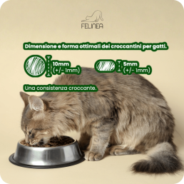 Felinea Sterilised Chicken Tuna and Salmon Grain Free dla kotów