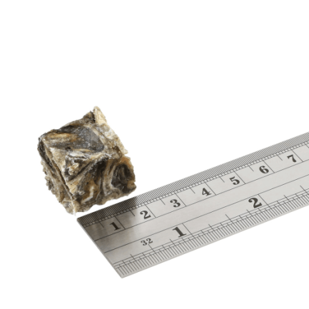 Fish4Dogs Dental Sea Jerky Fish Snack Naturali di Pelle di Pesce per Cani