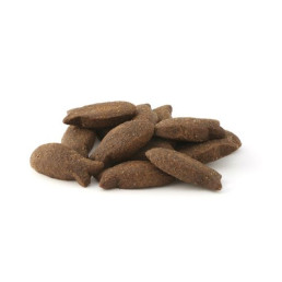 Fish4Dogs Support Plus Treats pour chiens