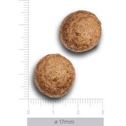 Trovet Plus Hypoallergénique au saumon pour chiens