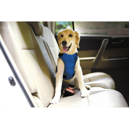 Best Friend Pettorina di Sicurezza per Auto