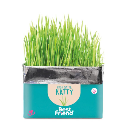 Best Friend Katty Erba Gatta per Gatti