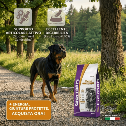 Gemon Maxi Adult con Pollo e Riso per Cani
