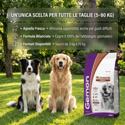 copy of Gemon Mini Adult con Pollo e Riso per Cani