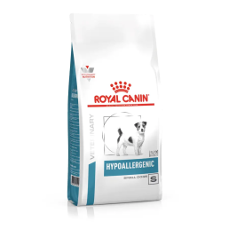 Hypoallergenic Small Dog