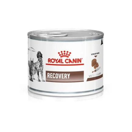 Royal Canin Recovery per Cane e Gatto