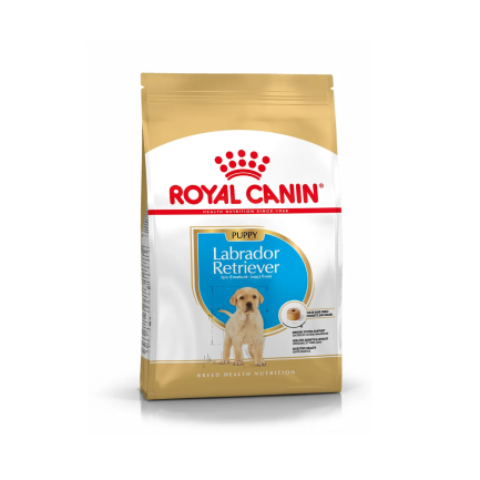 Royal Canin Breed Health Nutrition Labrador Retriever Puppy Crocchette