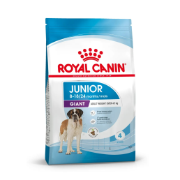 Giant Junior