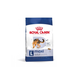 Maxi Adult