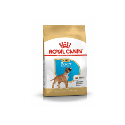 Royal Canin Breed Health Nutrition Boxer Puppy Crocchette Cane