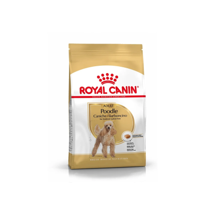 Royal Canin Breed Health Nutrition Barboncino Adult Crocchette Cane
