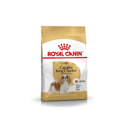 Royal Canin Cavalier King Charles Adult