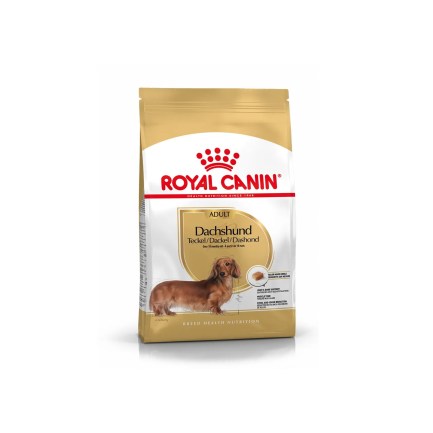 Royal Canin Bassotto Adult Crocchette per Cani