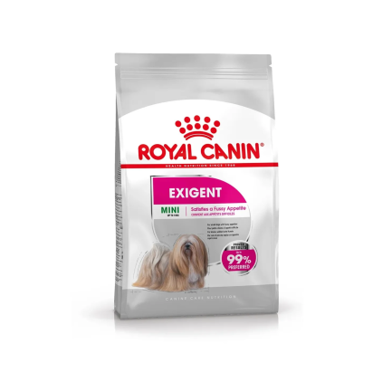 Royal Canin Canine Care Nutrition Mini Exigent Crocchette Cane