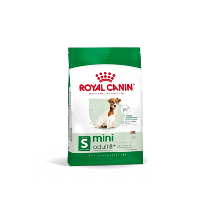Mini Adult 8+