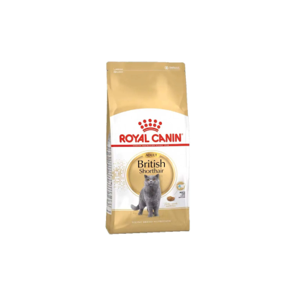 Royal Canin Feline Breed Nutrition British Shorthair Adult Crocchette Gatto