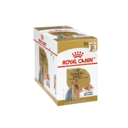 Royal Canin Breed Health Nutrition Yorkshire Terrier Adult Paté Cane