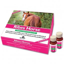Nbf Lanes Ribes Horse per...