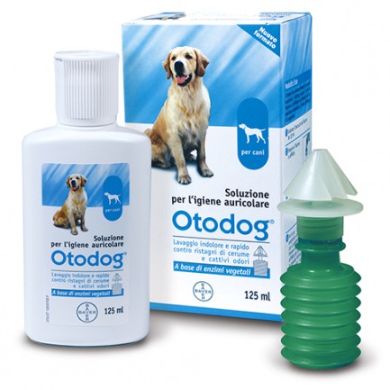 Otodog Otodog