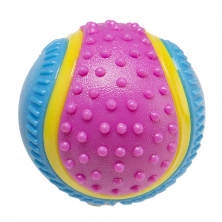 Palla 5 Sensi Gioco per Cani Palla 5 Sensi Gioco per Cani