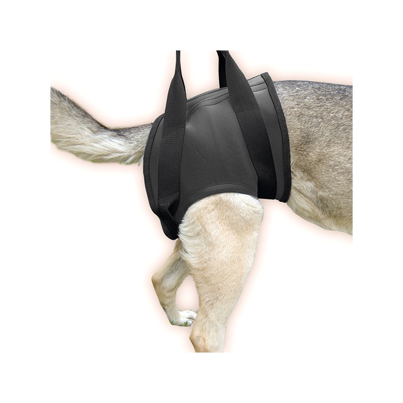 UEETEK Cane Supporto Imbracatura canini Aiuto Riabilitazione imbragature per Cani con Zampe Posteriori deboli M 