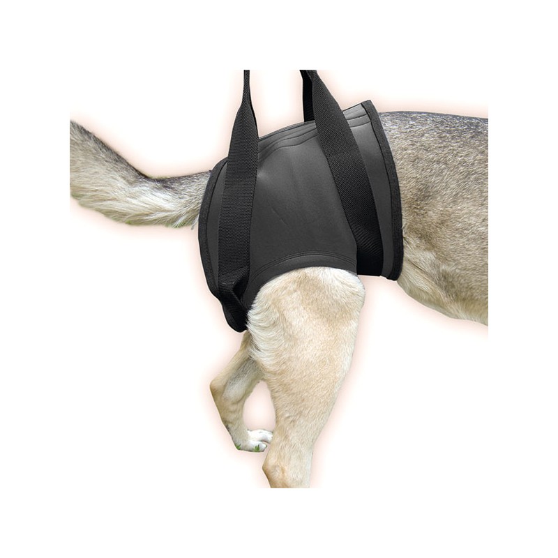 UEETEK Cane Supporto Imbracatura canini Aiuto Riabilitazione imbragature per Cani con Zampe Posteriori deboli M UEETEK Cane Supporto Imbracatura canini Aiuto Riabilitazione imbragature per Cani con Zampe Posteriori deboli M