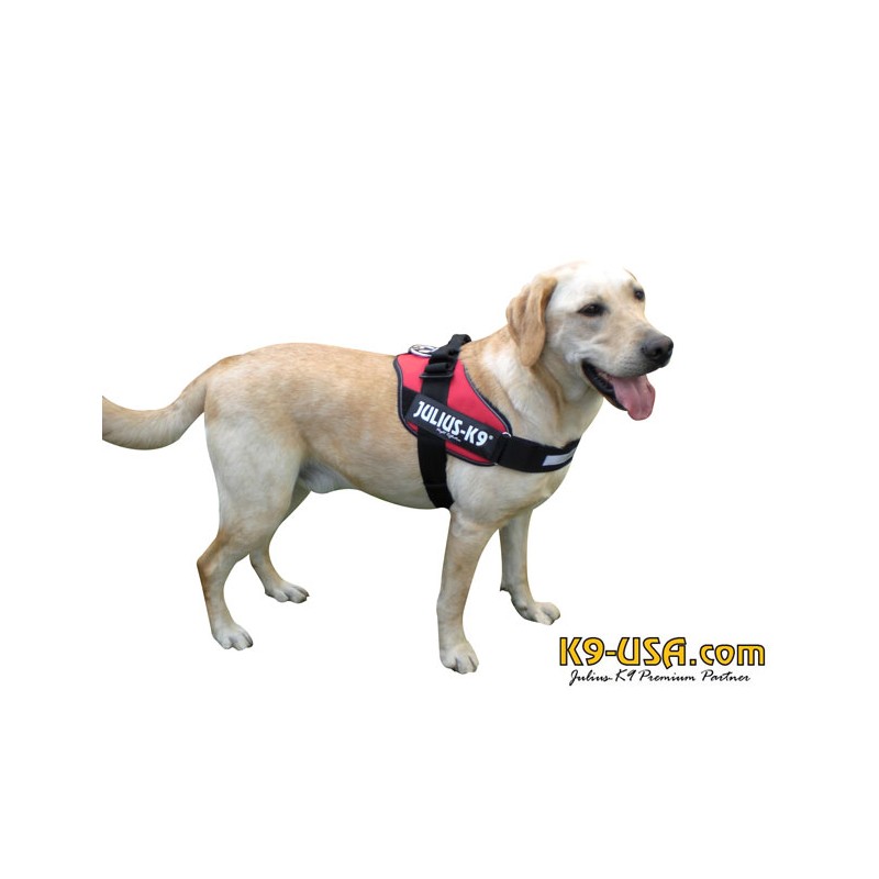 Julius K Dog Harness Reviews Julius K Dog Harness Reviews
