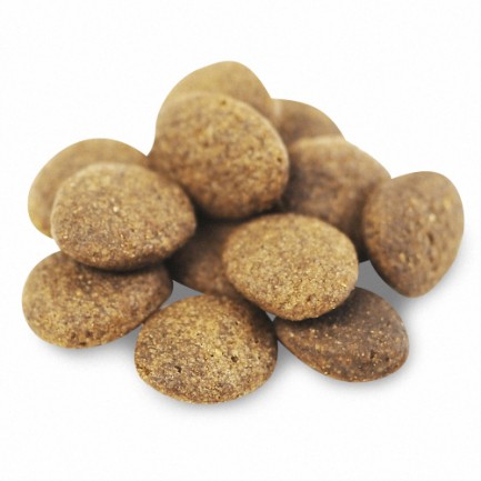 Fish4Dogs Finest Salmon Complete per Cani