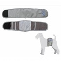 Hygienic Headband for Male Dogs