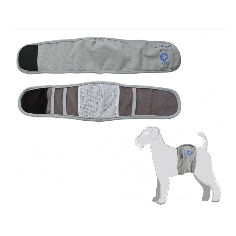 Camon - Fascia Igienica Per Cani Maschi