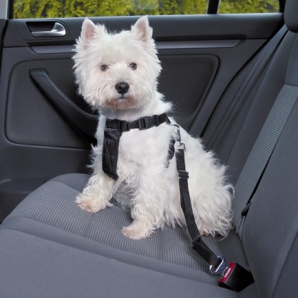 Safety belt pettorina per auto Safety belt pettorina per auto