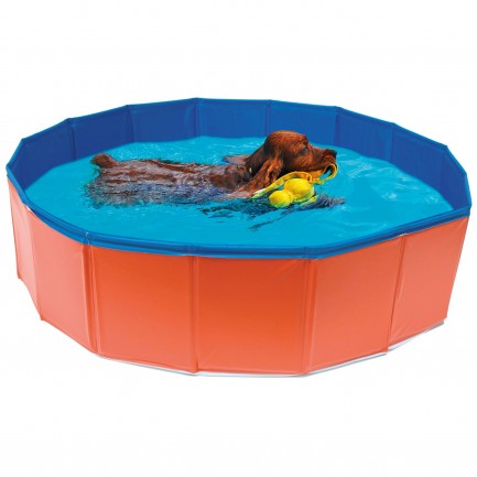 Piscina per Cani Piscina per Cani