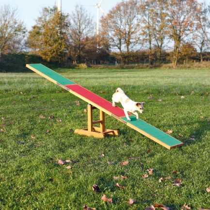 Altalena per Agility Dog Altalena per Agility Dog