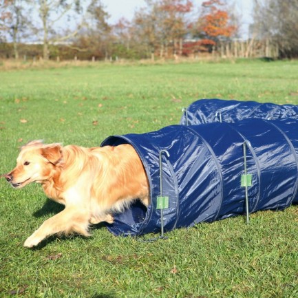 Tunnel Agility per cani Tunnel Agility per cani