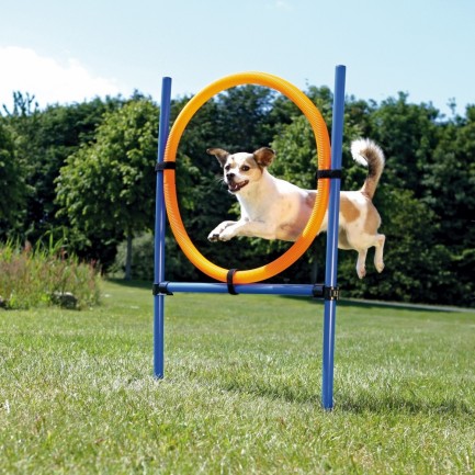 Anello per agility dog Anello per agility dog