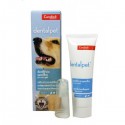 DentalPet Toothpaste for Dogs and Cats