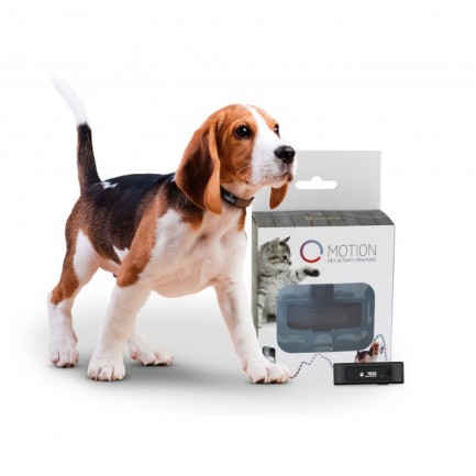 Tractive MOTION Pet Activity Tracker Tractive MOTION Pet Activity Tracker