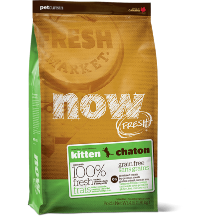 PetCurean Now Fresh Kitten Grain Free per Gatti PetCurean Now Fresh Kitten Grain Free per Gatti