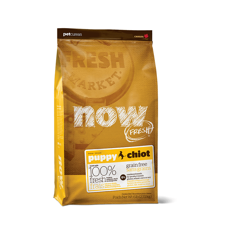 PetCurean NOW FRESH Puppy Grain Free kibble for puppies |PacoPet