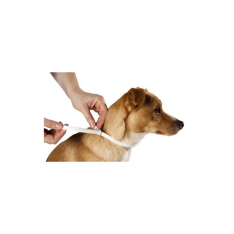 Dog Scalibor Tick Collar Scalibor Antiparasitic Collar