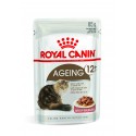 Royal Canin Ageing +12 Cibo Umido per Gatti