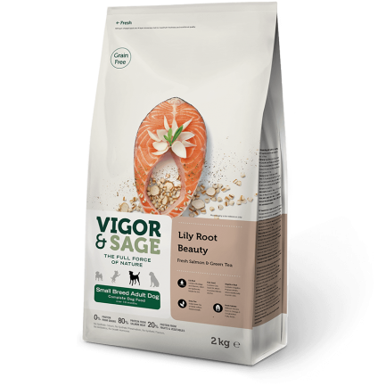 Vigor & Sage Lily Root Beauty Adult Small con Salmone e Te Verde Vigor & Sage Lily Root Beauty Adult Small con Salmone e Te Verde