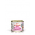 Royal Canin Babycat Instinctive Wet Food pour chatons