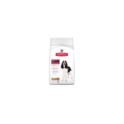 hills adult medium con agnello e riso secco 12kg hills adult medium con agnello e riso secco 12kg