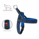 Dynamic Dog Harness Blue