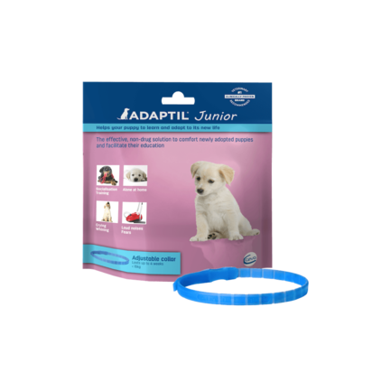 Adaptil Junior Collare per Cuccioli Adaptil Junior Collare per Cuccioli