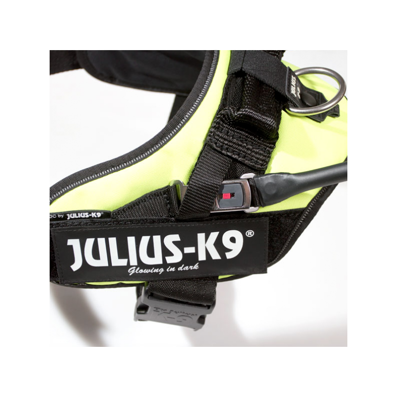 Julius K9 guide dog harness with conduction handle Paco
