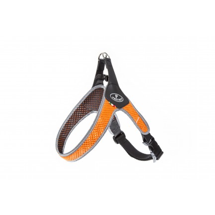 Pratiko Pettorina Air in Rete con Chiusura a doppio Clip Pratiko Pettorina Air in Rete con Chiusura a doppio Clip