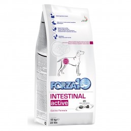 Forza10 Intestinal Active dla psów